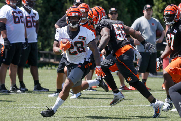 Bengals rookie running back Joe Mixon.